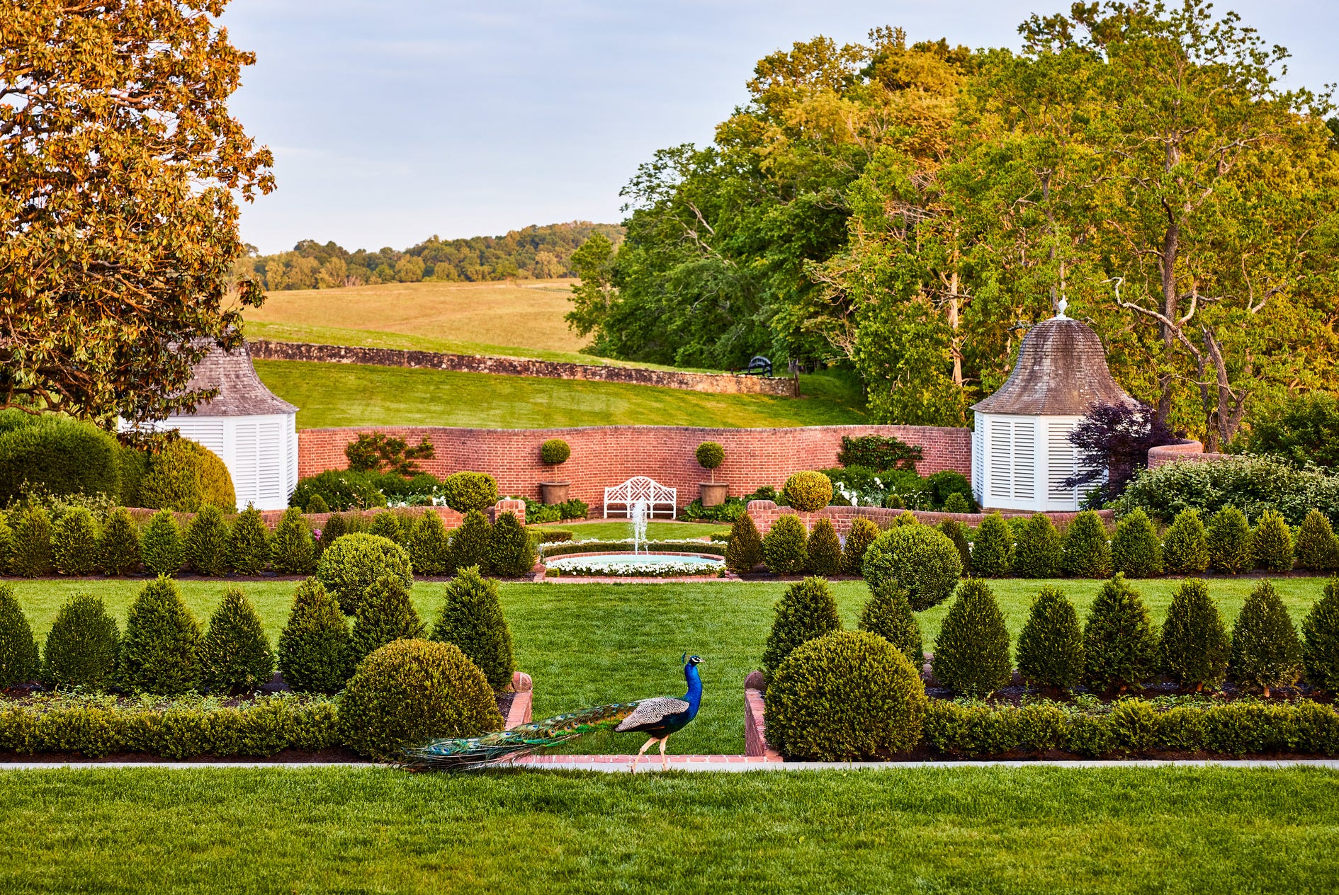 Landscaping example 4