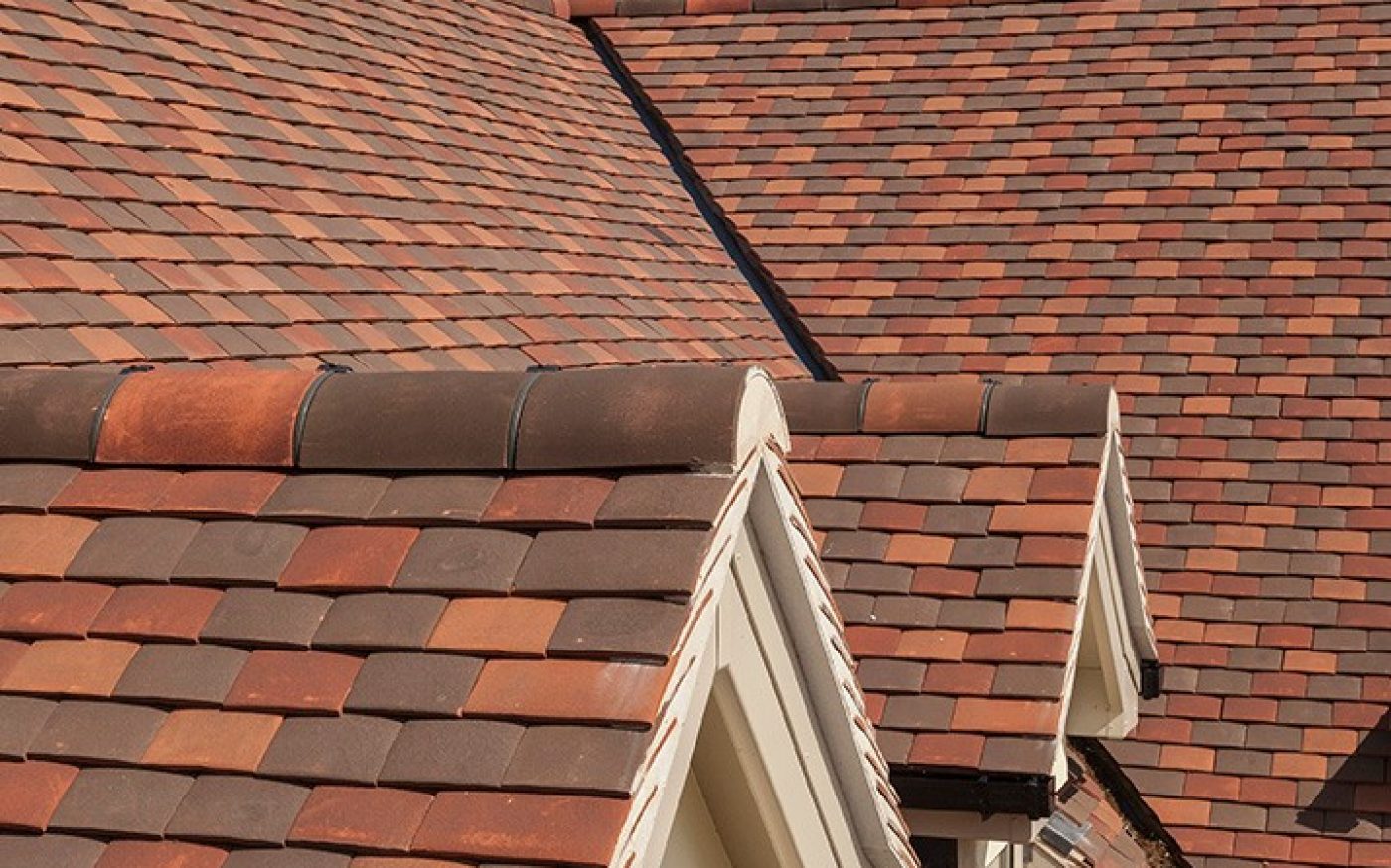 Roof Cleaning example 6