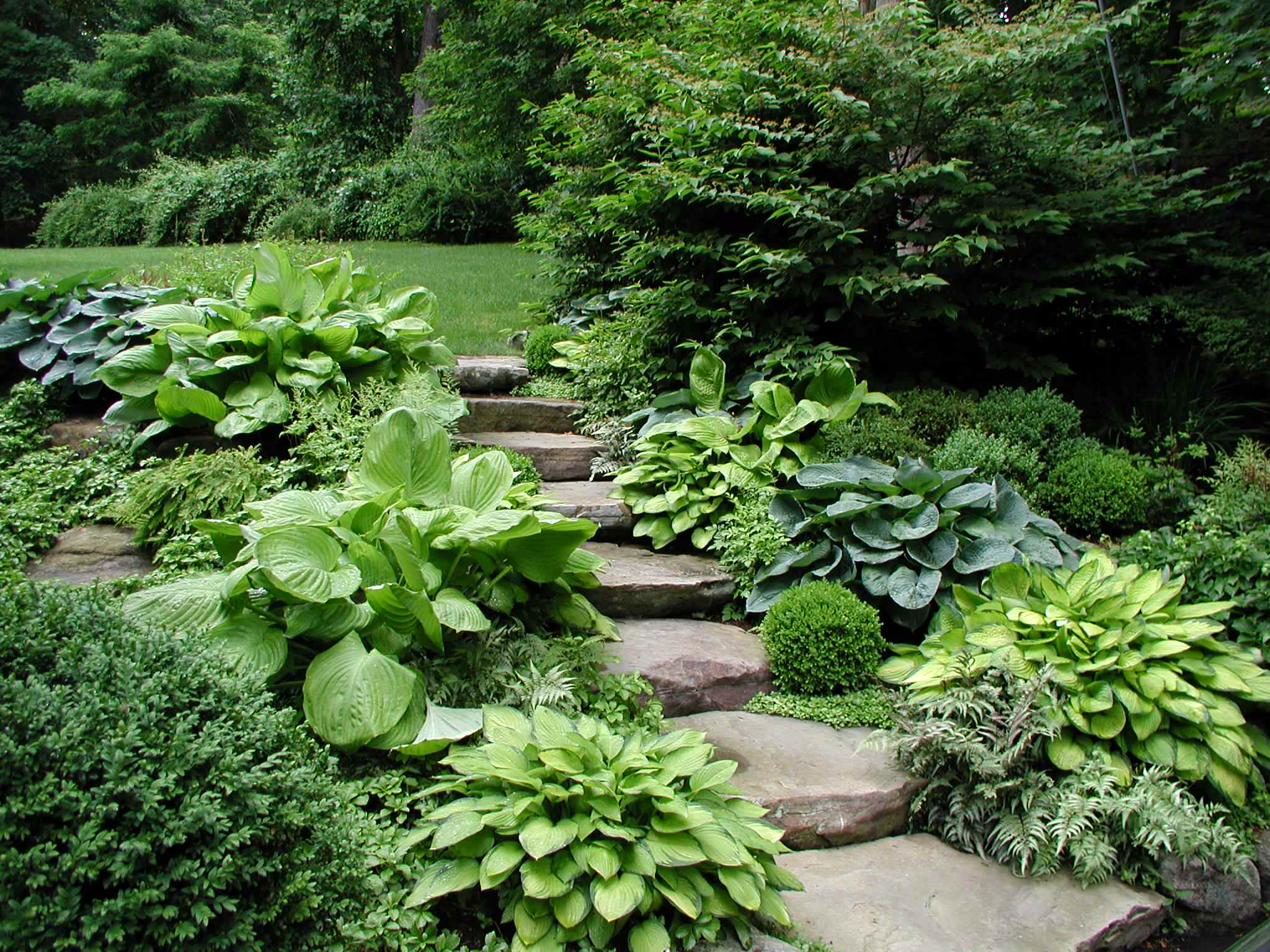 Steps example 4
