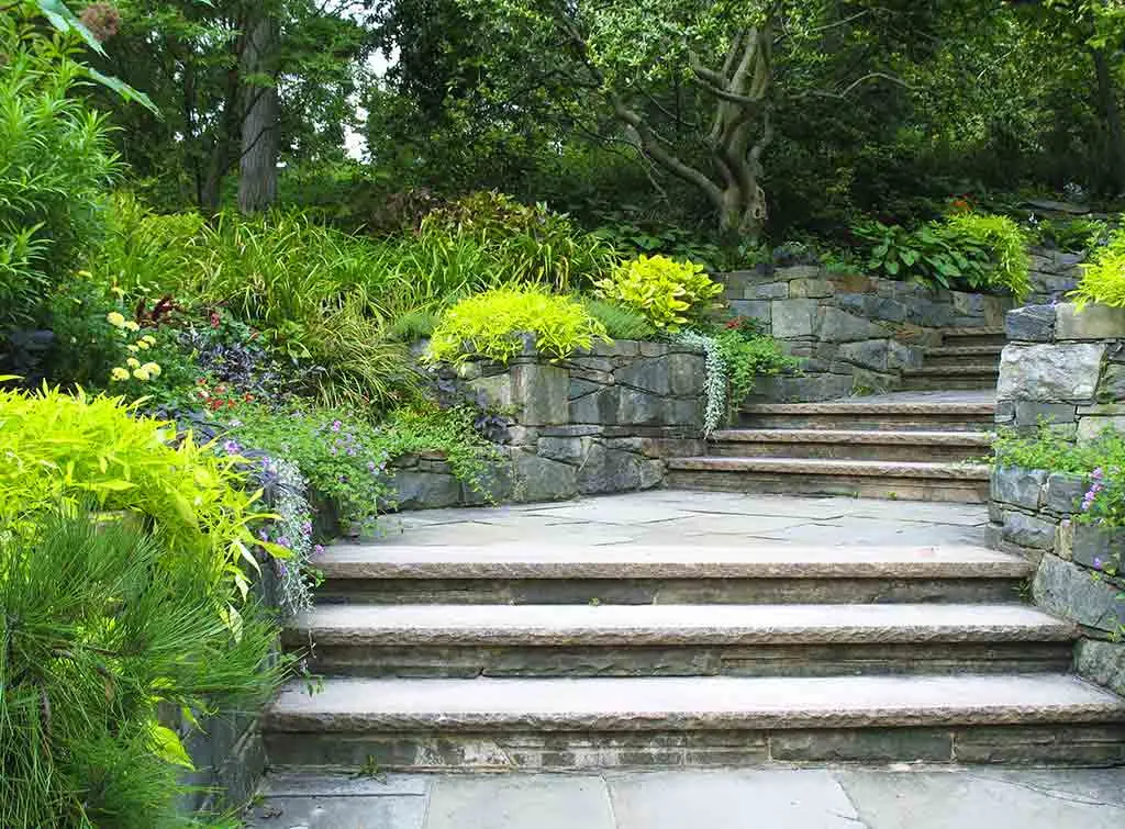 Steps example 5