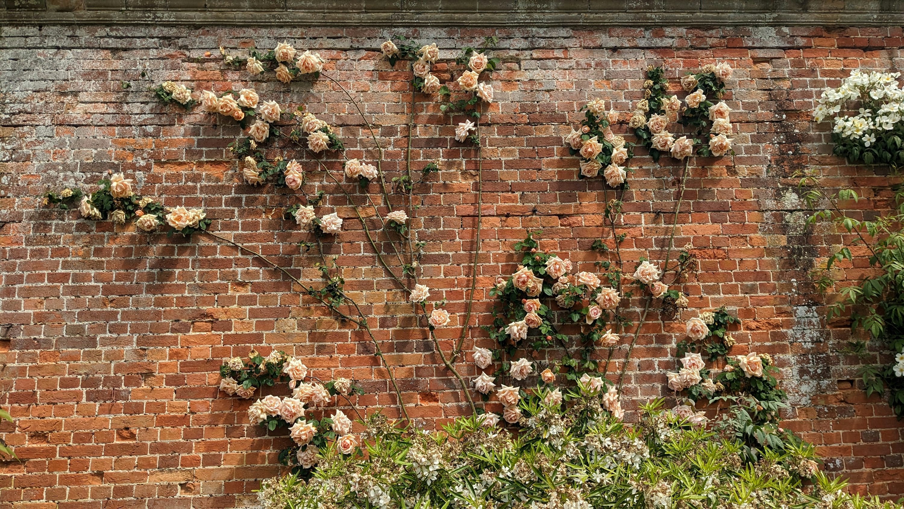 Walls example 3