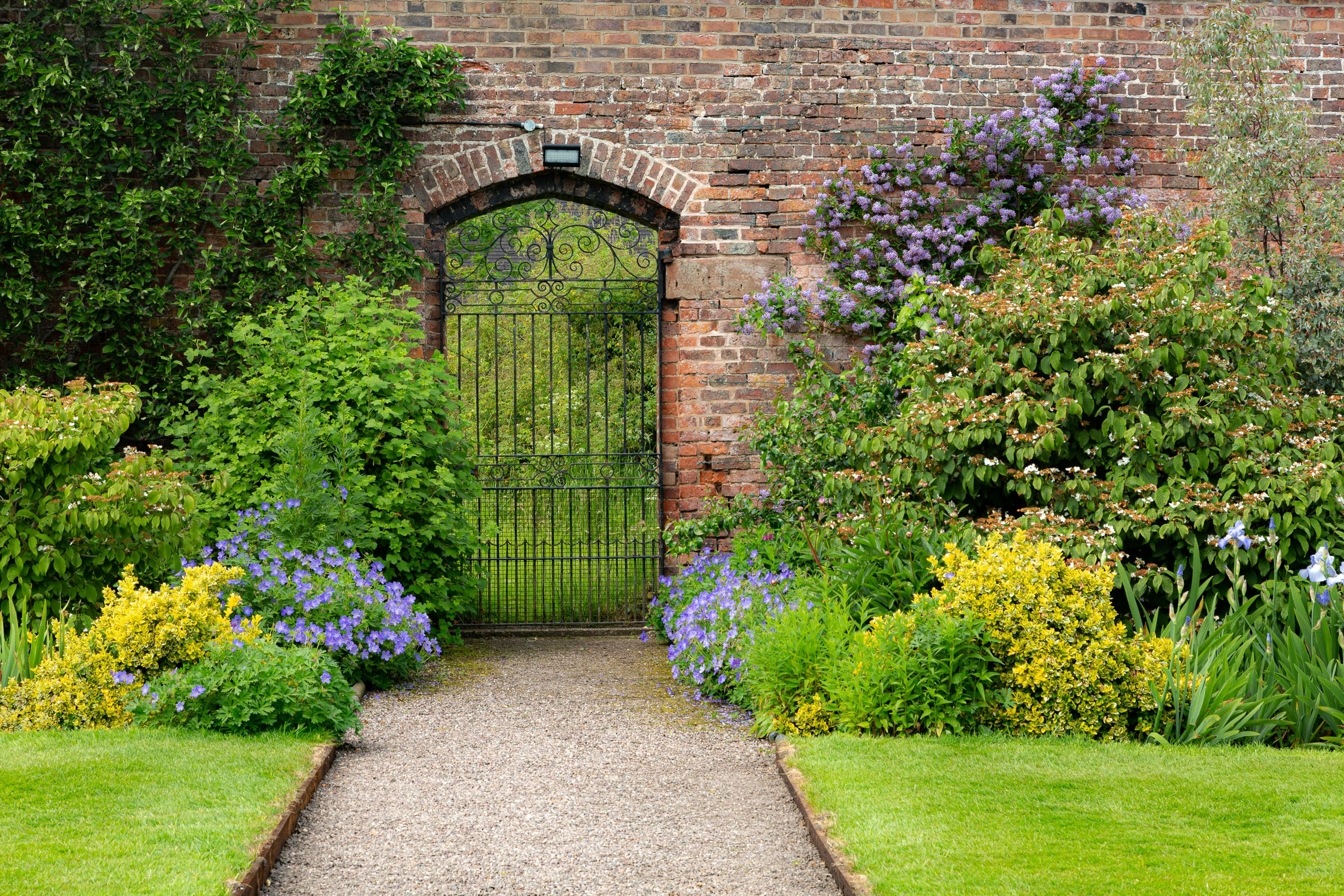 Walls example 4
