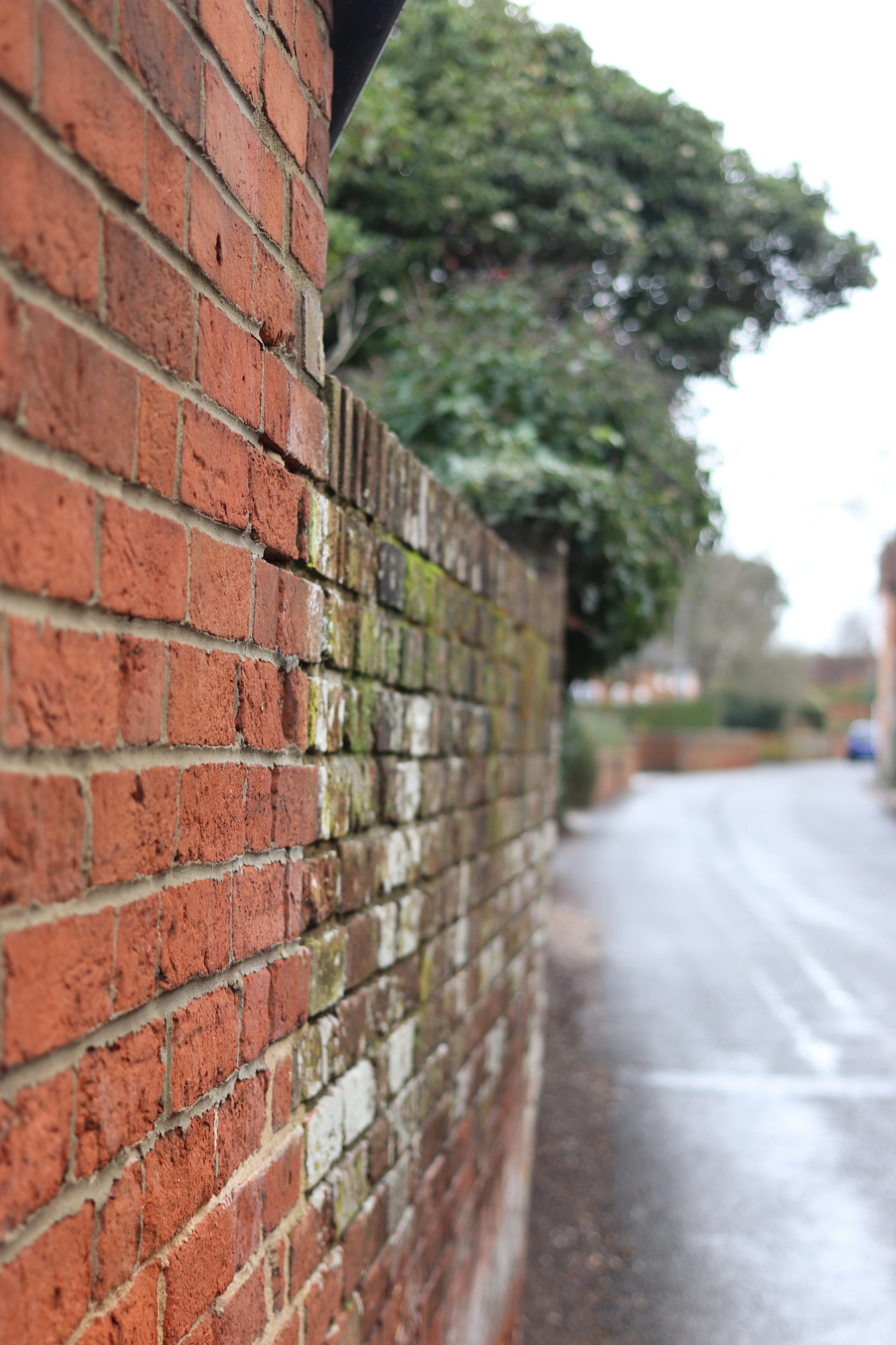 Walls example 6
